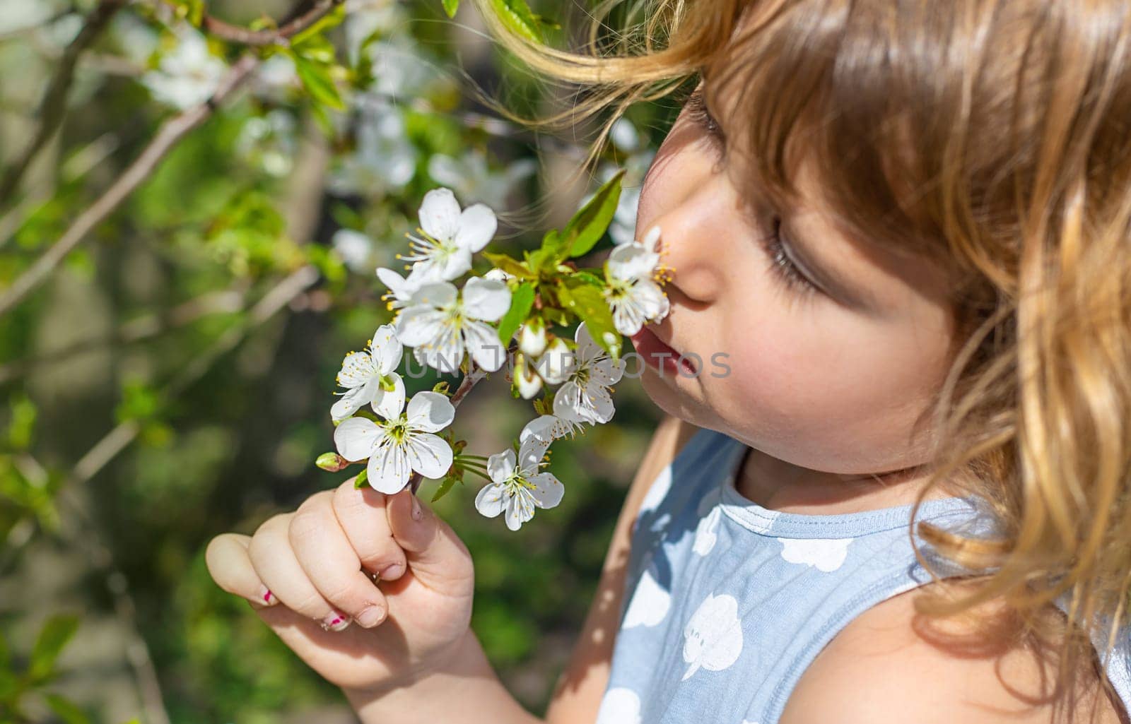 Child in a garden of flowering trees. Selective focus. kid.