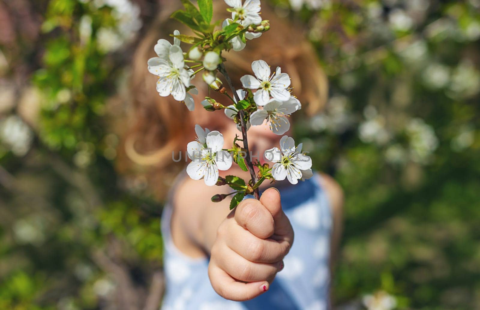 Child in a garden of flowering trees. Selective focus. kid.