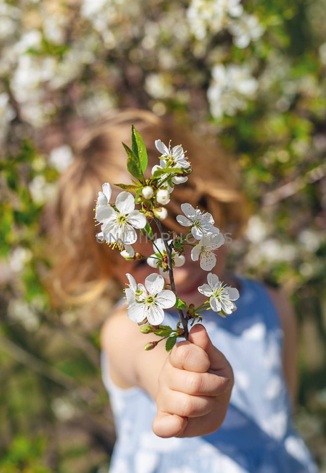 Child in a garden of flowering trees. Selective focus. kid.
