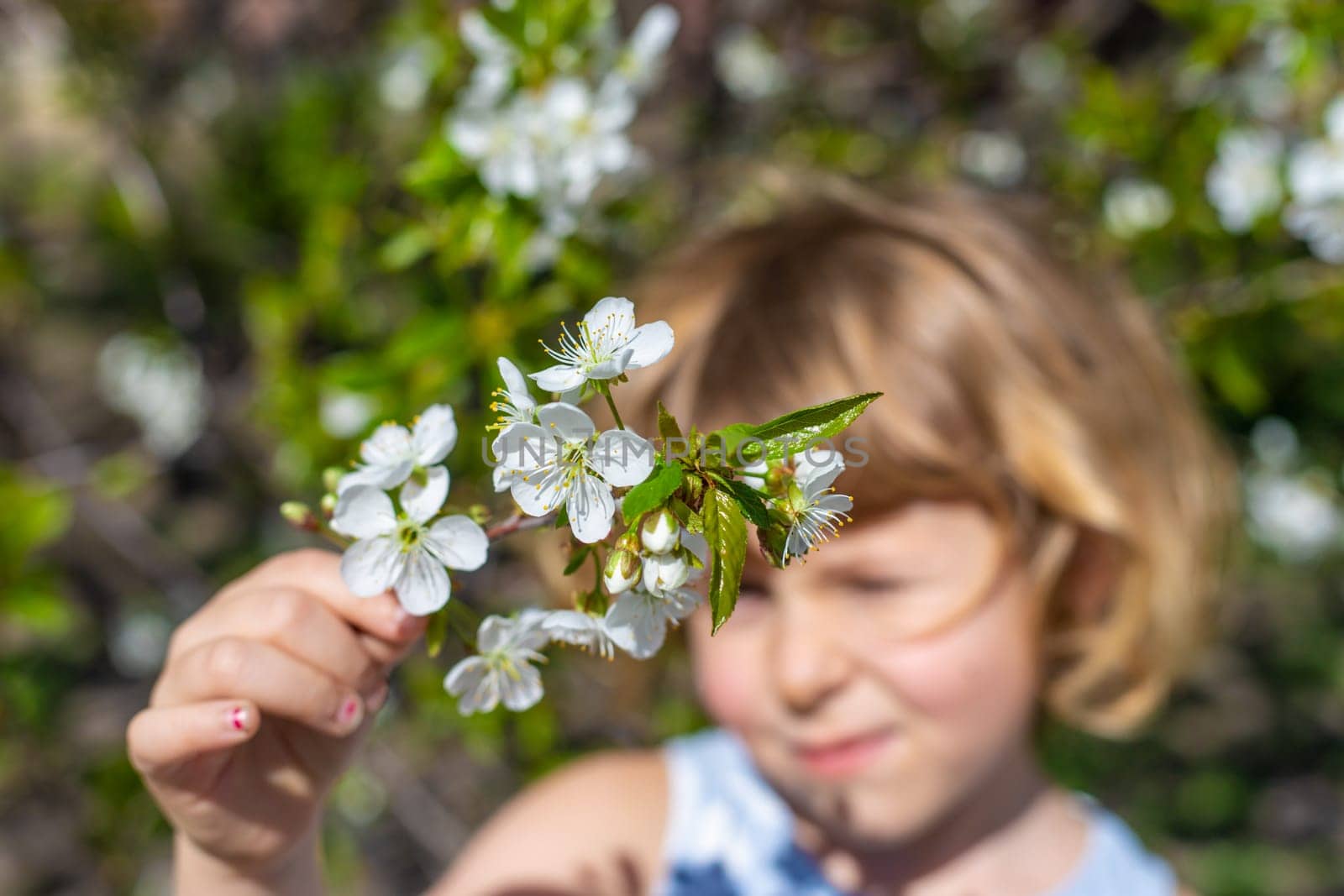 Child in a garden of flowering trees. Selective focus. kid.