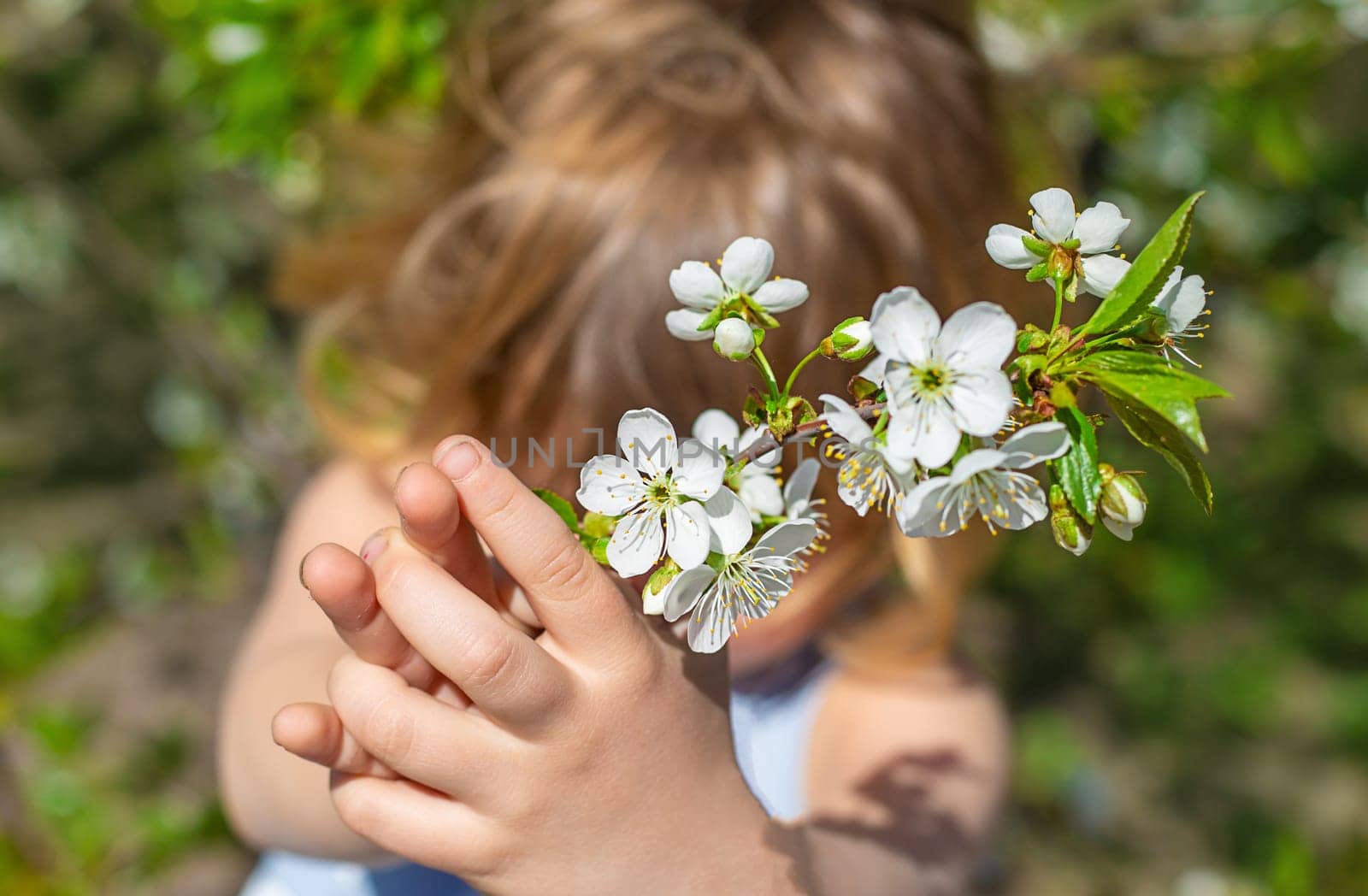 Child in a garden of flowering trees. Selective focus. kid.