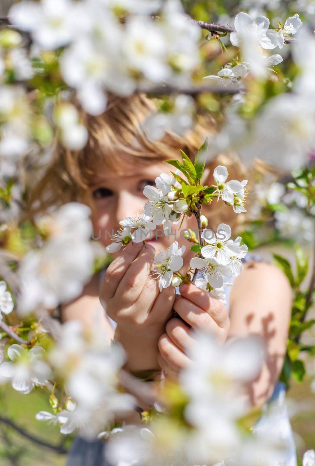 Child in a garden of flowering trees. Selective focus. kid.