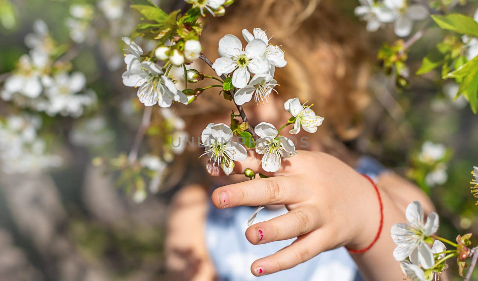 Child in a garden of flowering trees. Selective focus. kid.