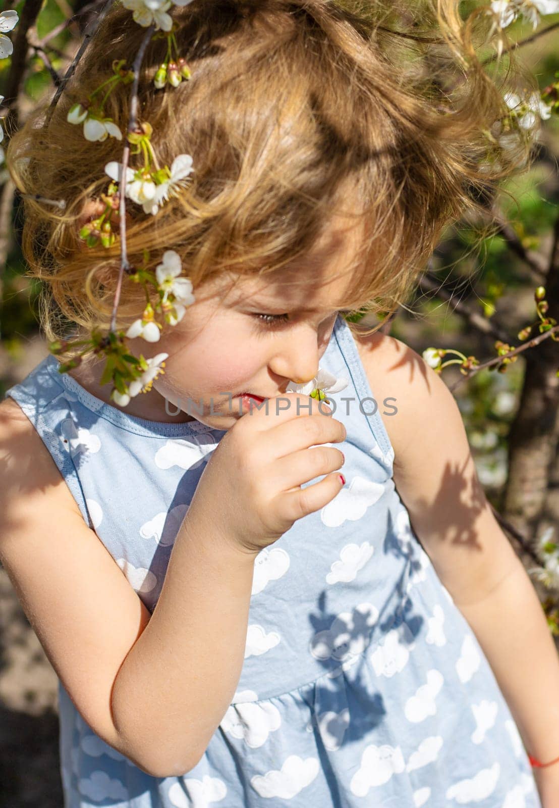 Child in a garden of flowering trees. Selective focus. kid.