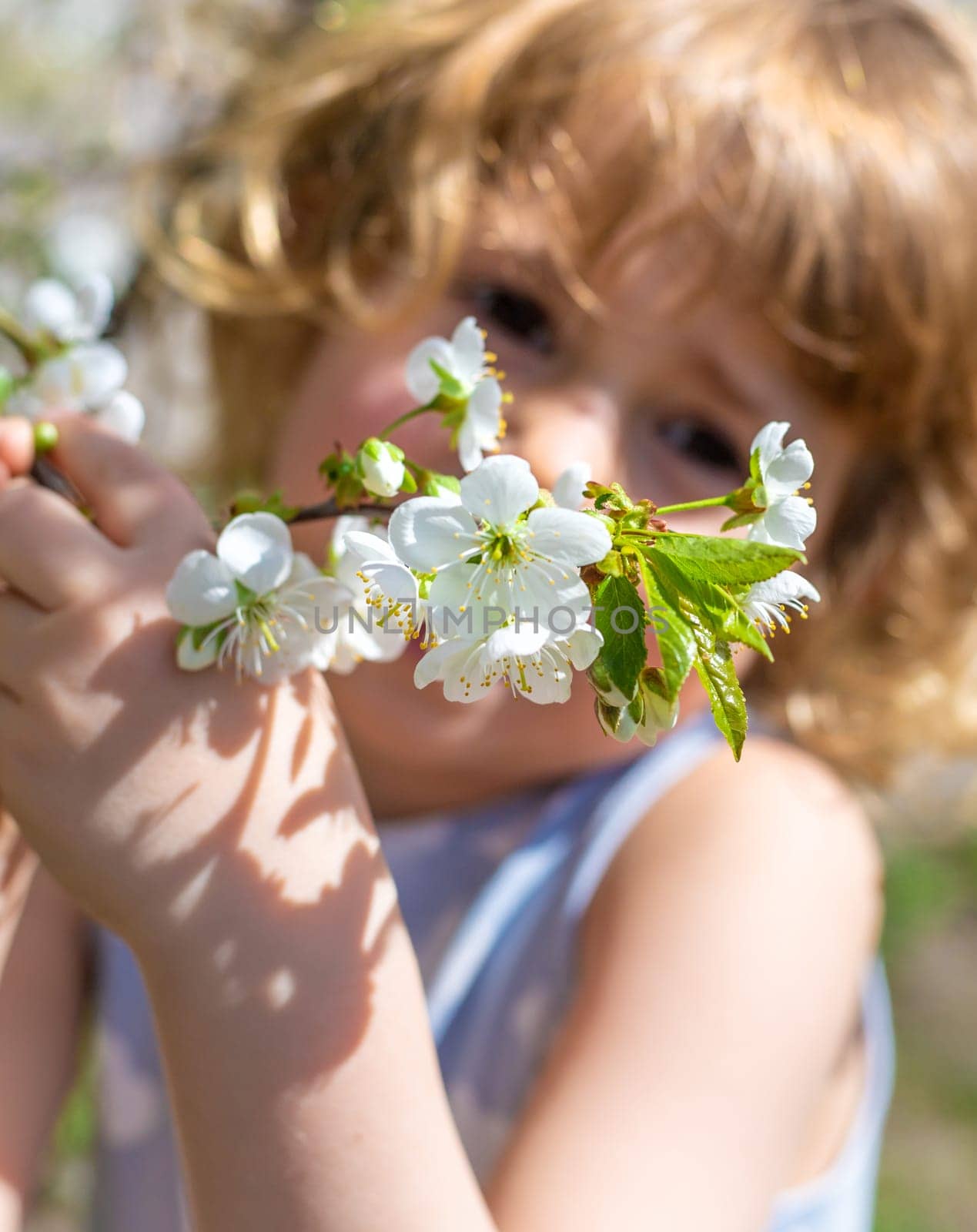 Child in a garden of flowering trees. Selective focus. kid.
