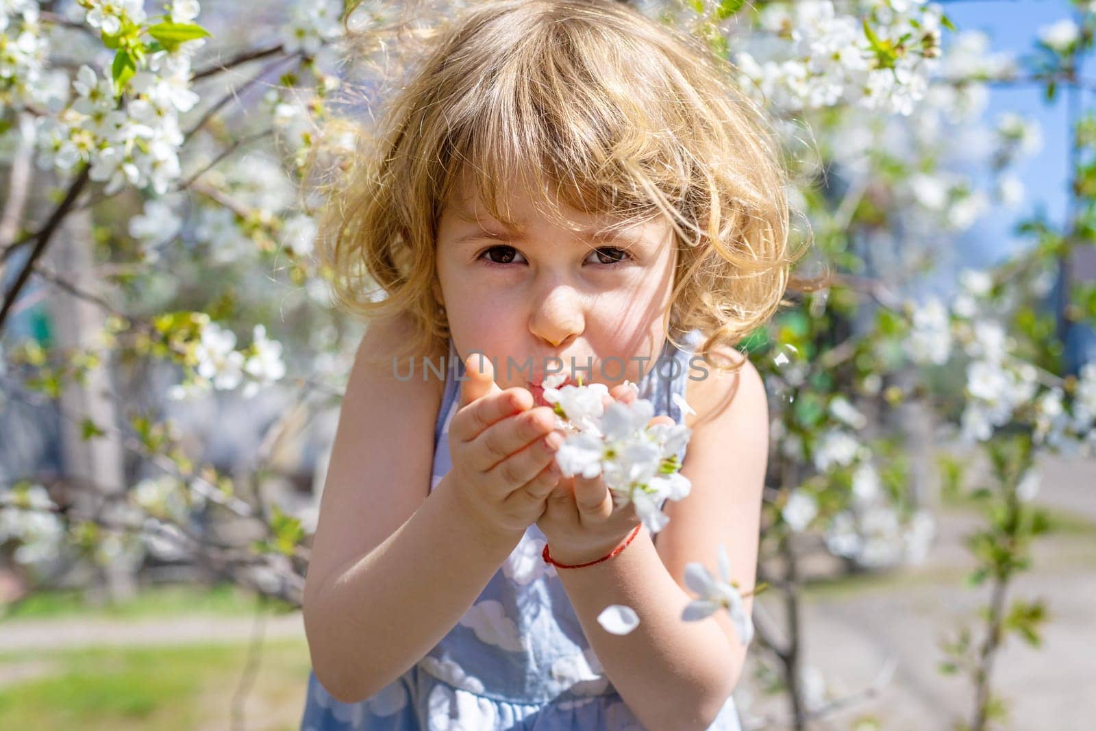 Child in a garden of flowering trees. Selective focus. kid.