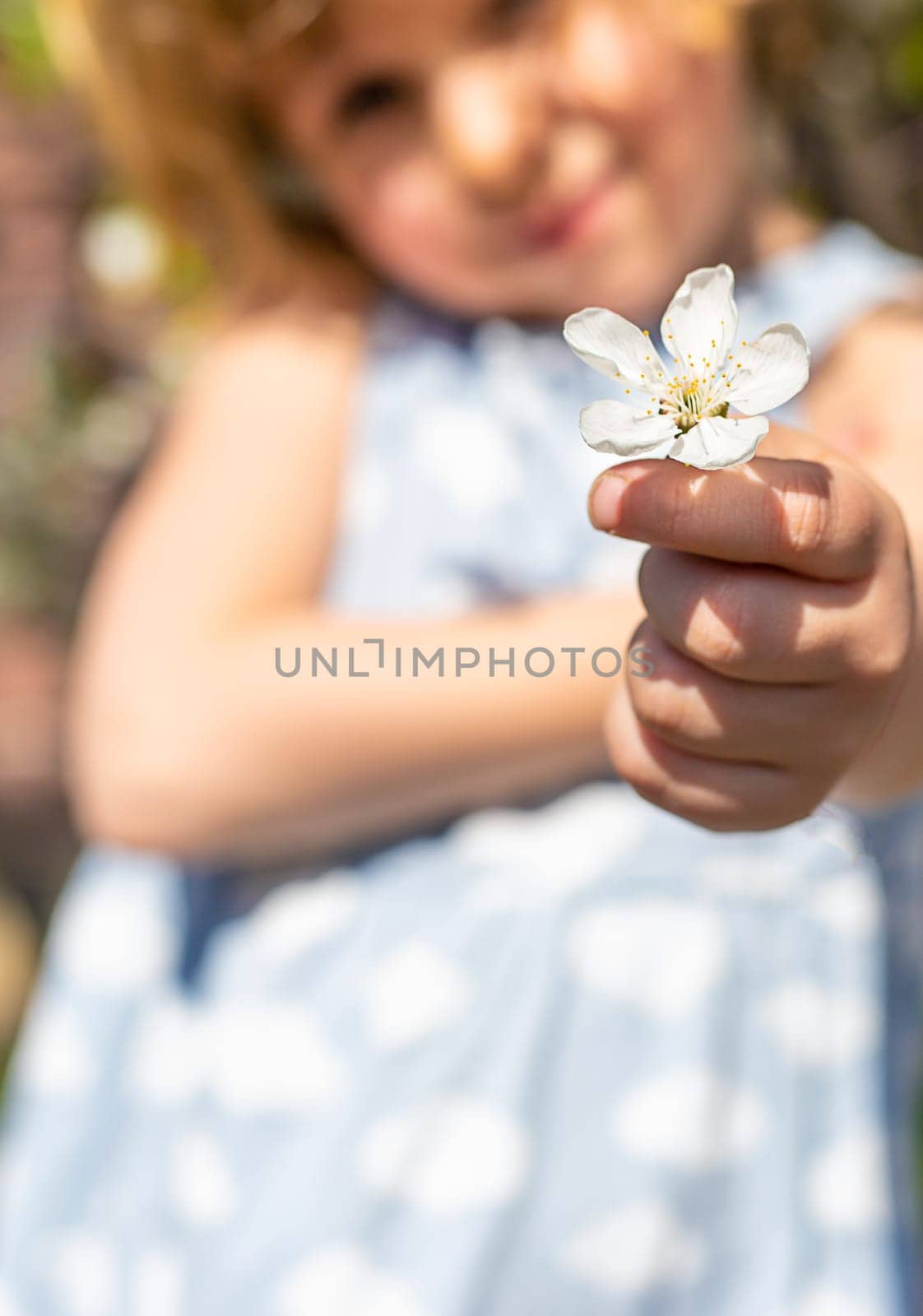 Child in a garden of flowering trees. Selective focus. kid.