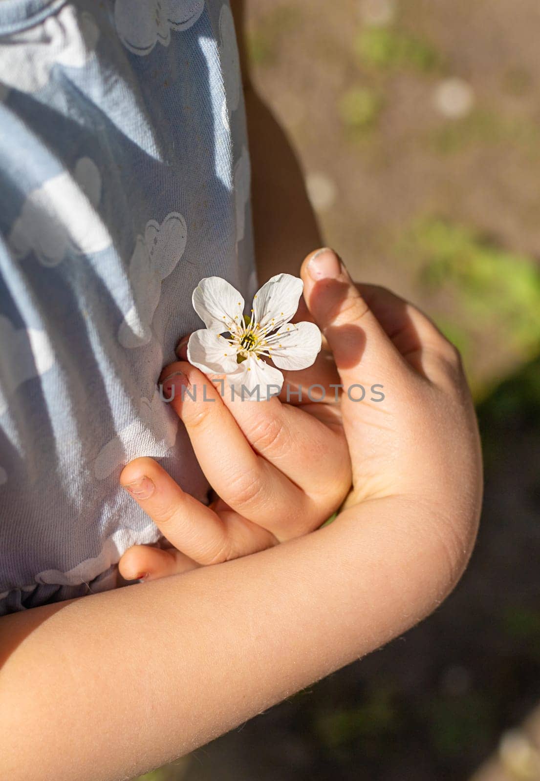 Child in a garden of flowering trees. Selective focus. kid.