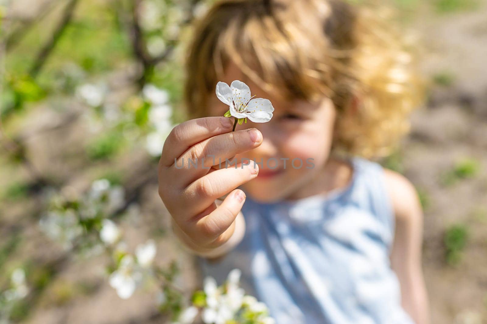 Child in a garden of flowering trees. Selective focus. kid.