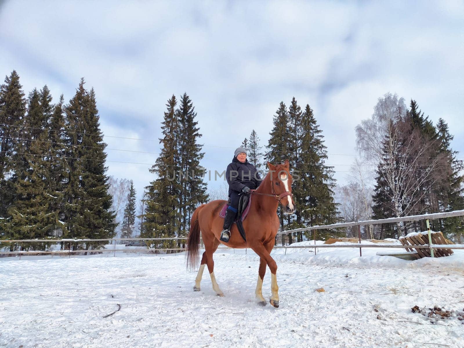 A person rides a brown horse through a snowy area surrounded by tall evergreen trees on a chilly winter day.