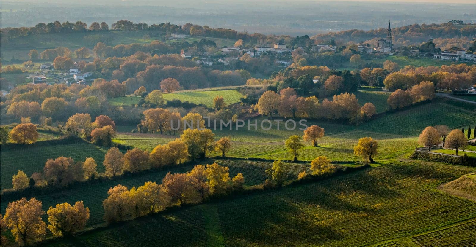 France, Gironde, Tabanac, Aerial view of the vineyard and wooded areas of Chateau le Pic in the Bordeaux vineyards at sunset. High quality photo