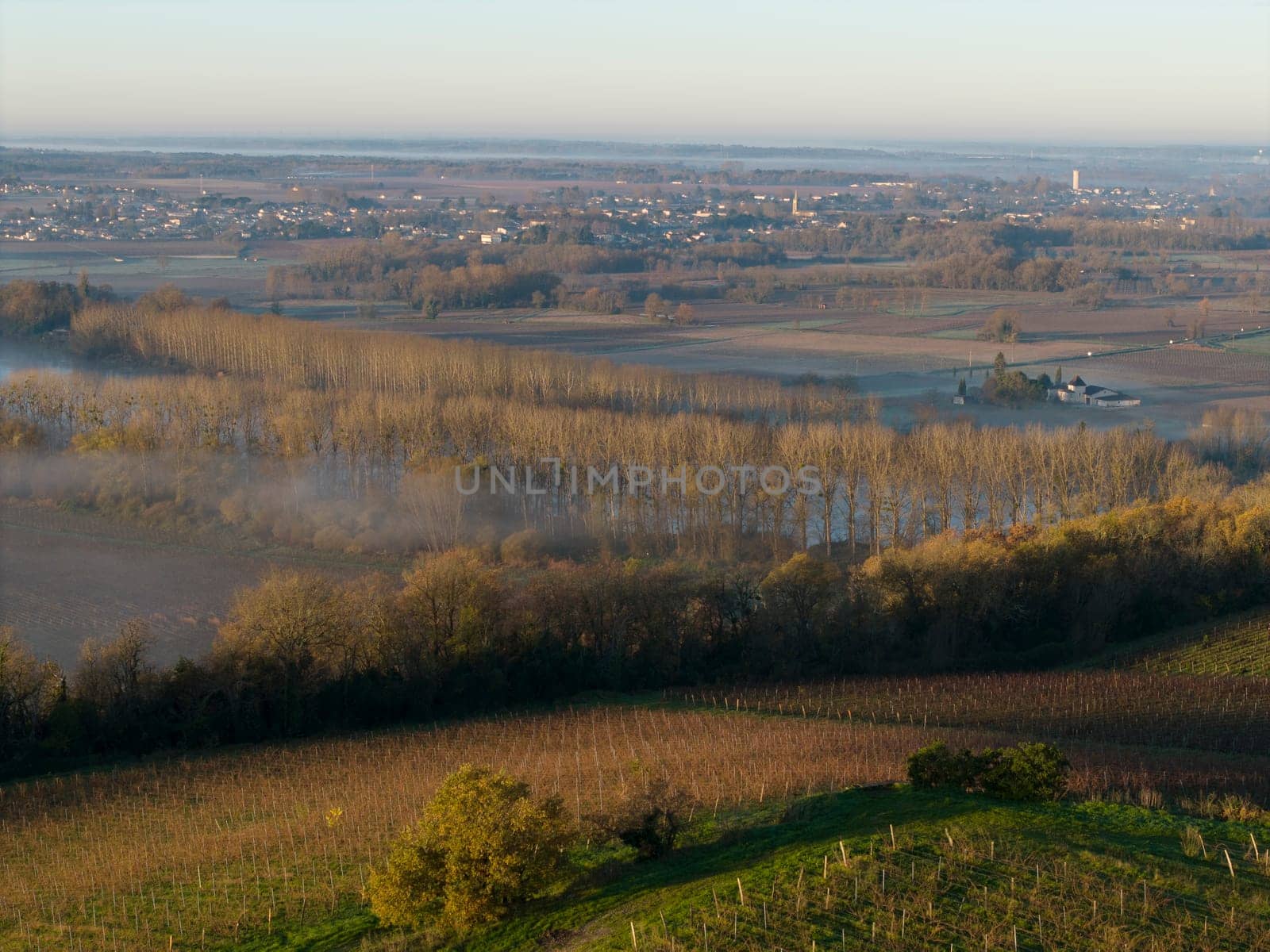 France, Gironde, Langoiran, Aerial view of Premieres Cotes de Bordeaux vineyard in Entre-Deux-Mers, Bordeaux vineyard at sunrise with fog over the Garonne river. High quality photo