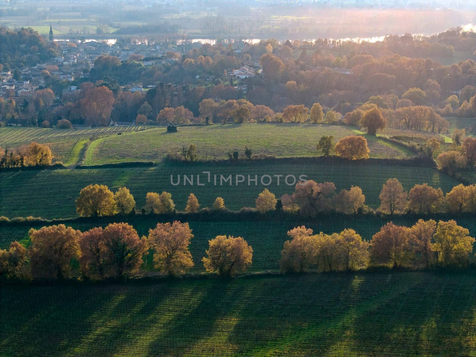 France, Gironde, Tabanac, Aerial view of the vineyard and wooded areas of Chateau le Pic in the Bordeaux vineyards at sunset. High quality photo