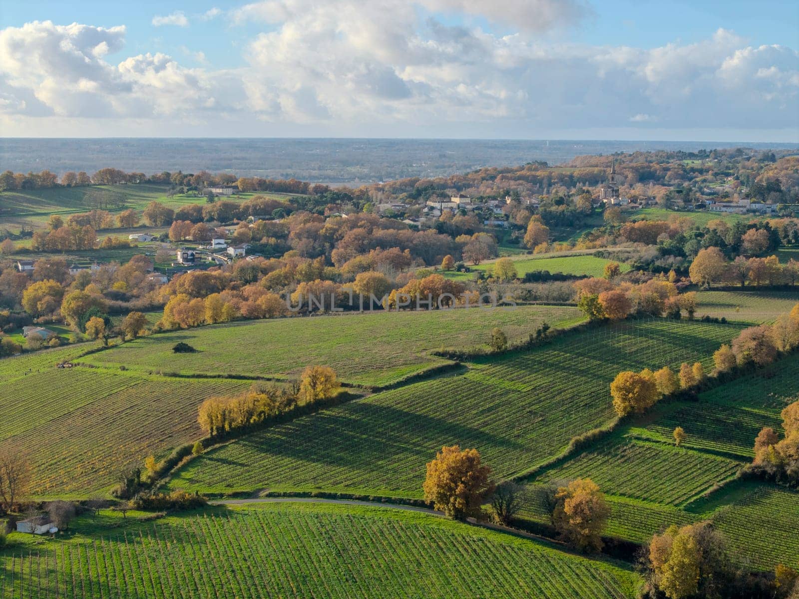 France, Gironde, Tabanac, Aerial view of the vineyard and wooded areas of Chateau le Pic in the Bordeaux vineyards at sunset. High quality photo