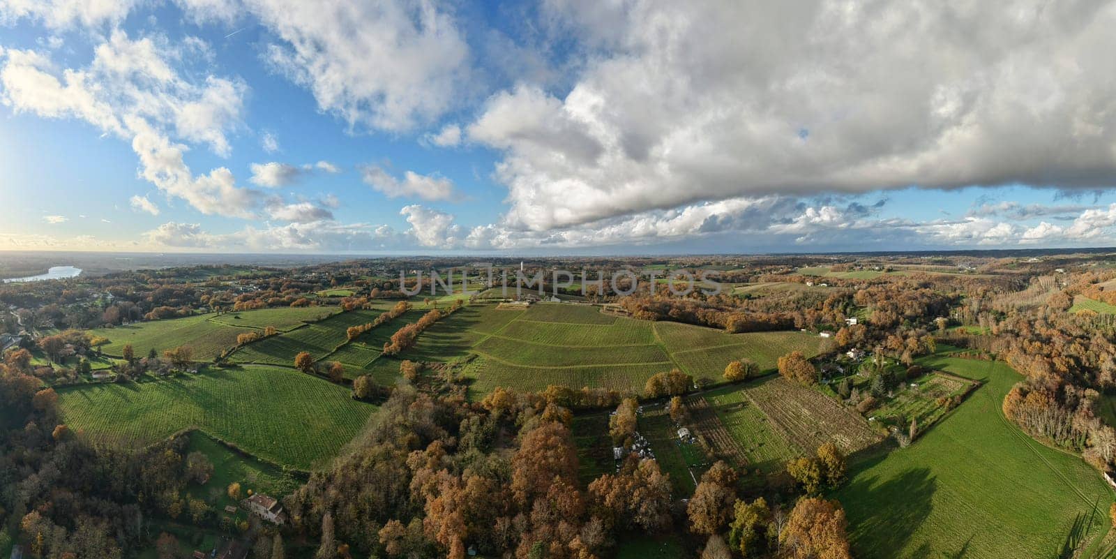 France, Gironde, Tabanac, Aerial view of the vineyard and wooded areas of Chateau le Pic in the Bordeaux vineyards at sunset. High quality photo