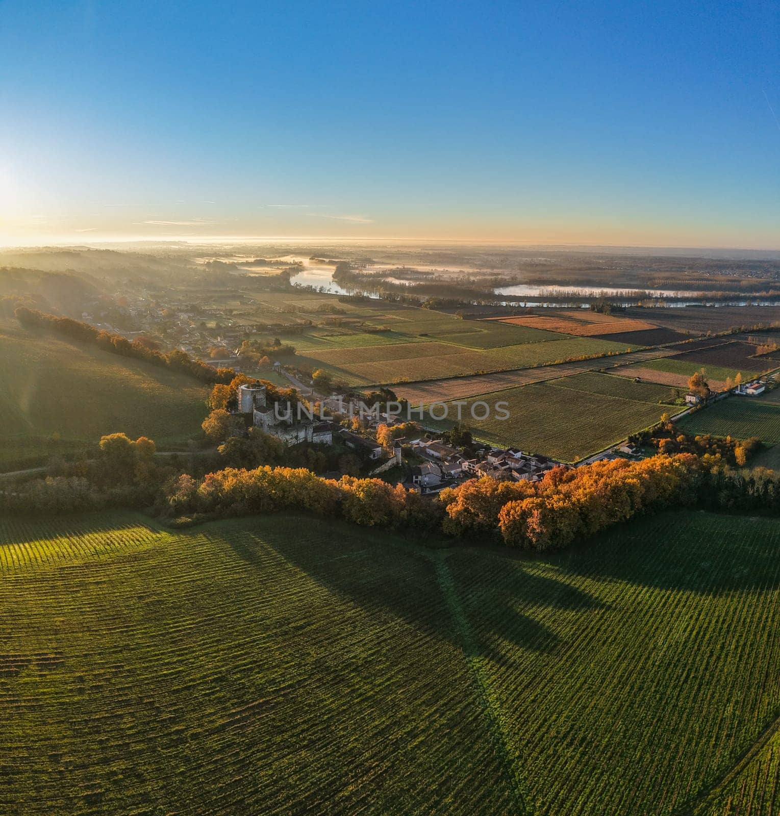 France, Gironde, Haut-Langoiran, Aerial view of the vineyard and wooded areas of Chateau de Langoiran in the Bordeaux vineyards at sunrise