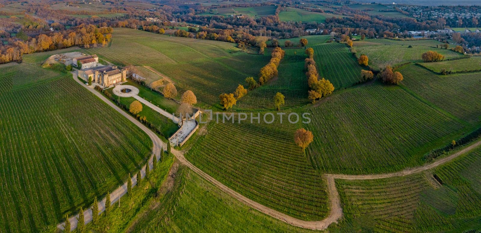 France, Gironde, Tabanac, Aerial view of the vineyard and wooded areas of Chateau le Pic in the Bordeaux vineyards at sunset. High quality photo