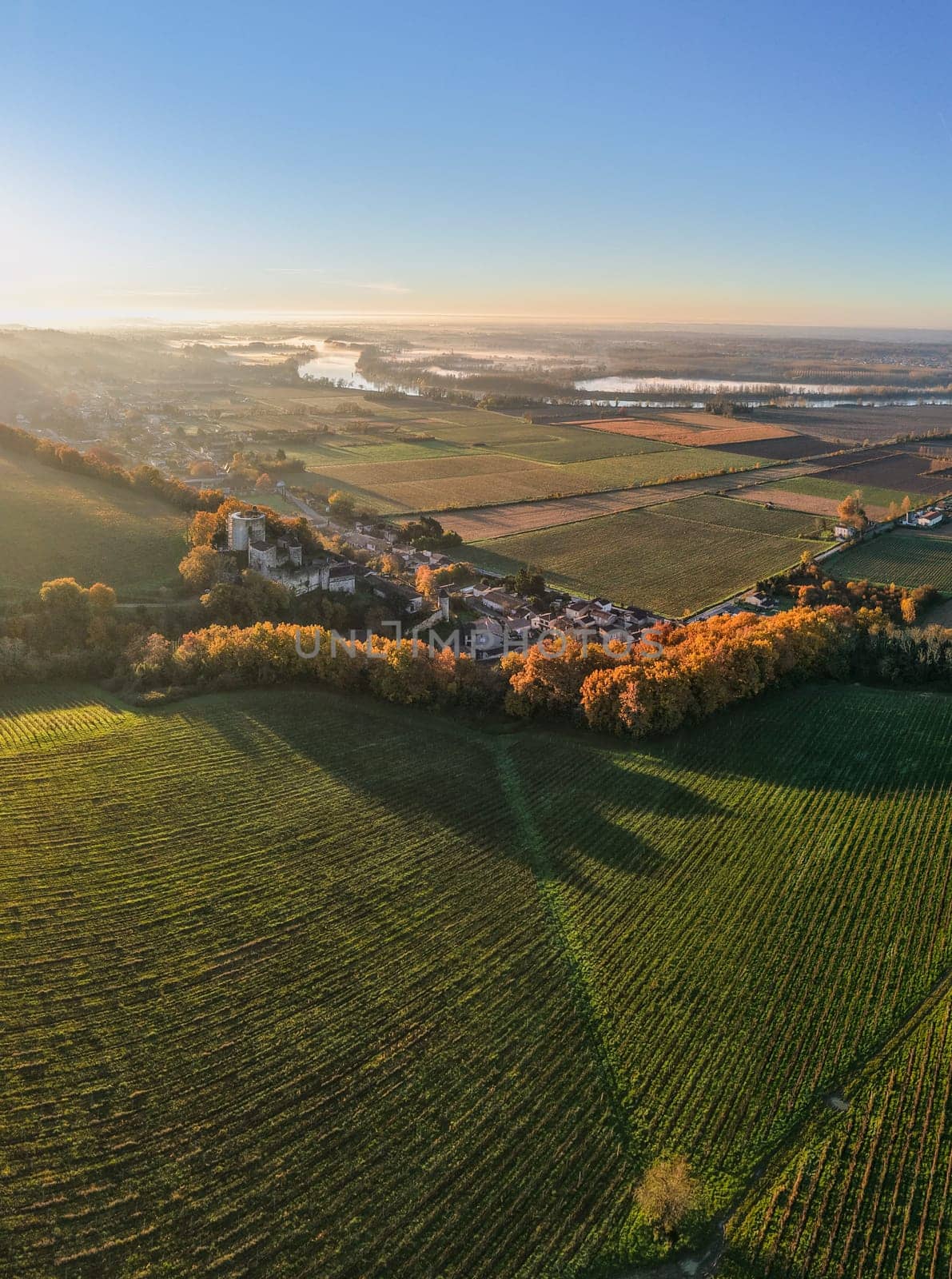 France, Gironde, Haut-Langoiran, Aerial view of the vineyard and wooded areas of Chateau de Langoiran in the Bordeaux vineyards at sunrise