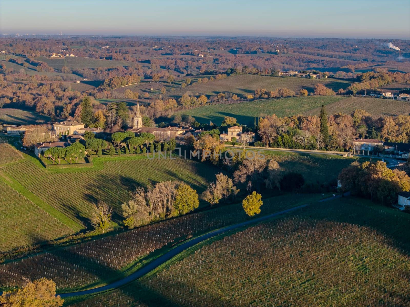France, Gironde, Haut-Langoiran, Aerial view of the vineyard and wooded areas of Chateau de Langoiran in the Bordeaux vineyards at sunrise
