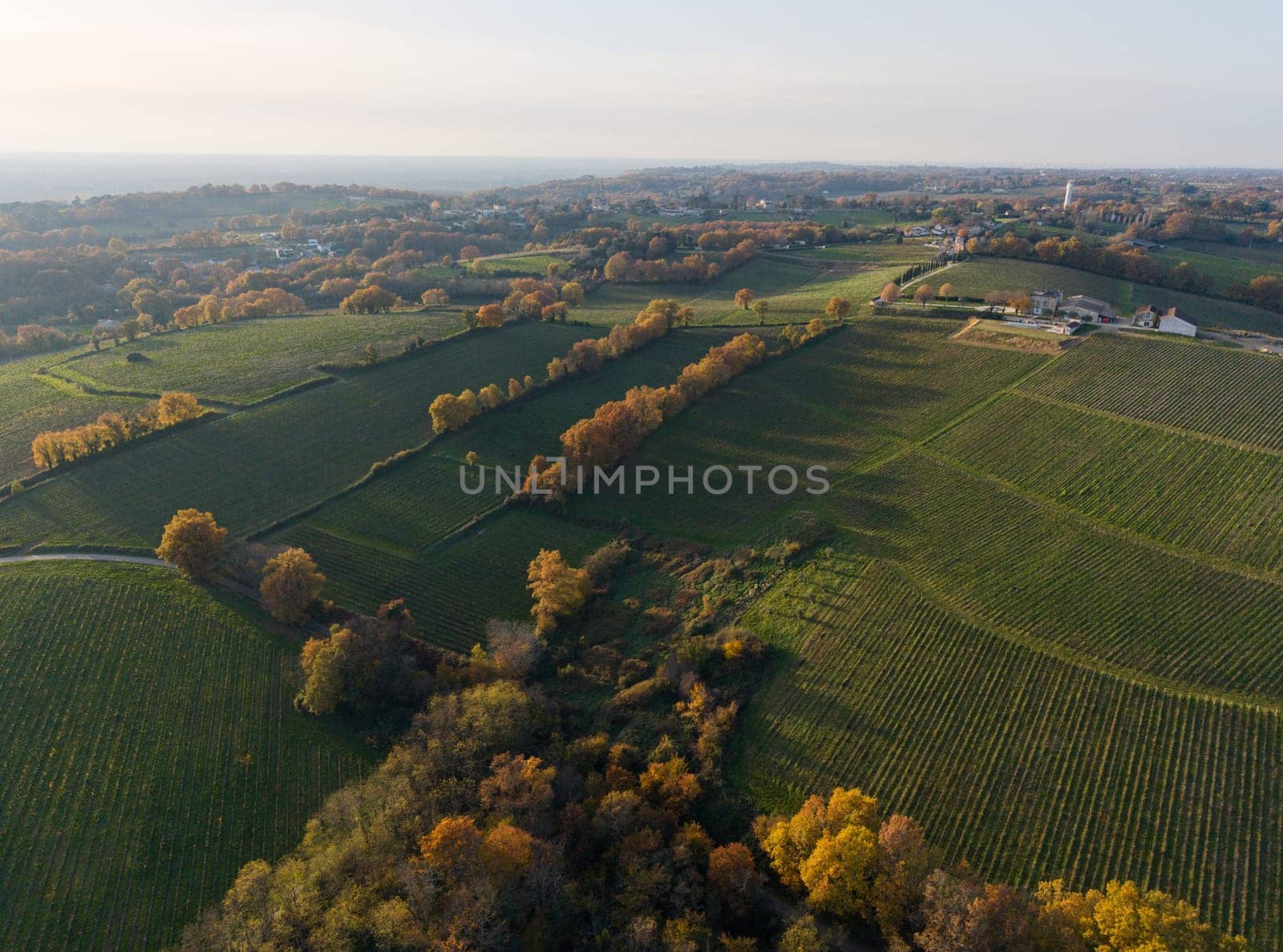 France, Gironde, Tabanac, Aerial view of the vineyard and wooded areas of Chateau le Pic in the Bordeaux vineyards at sunset. High quality photo