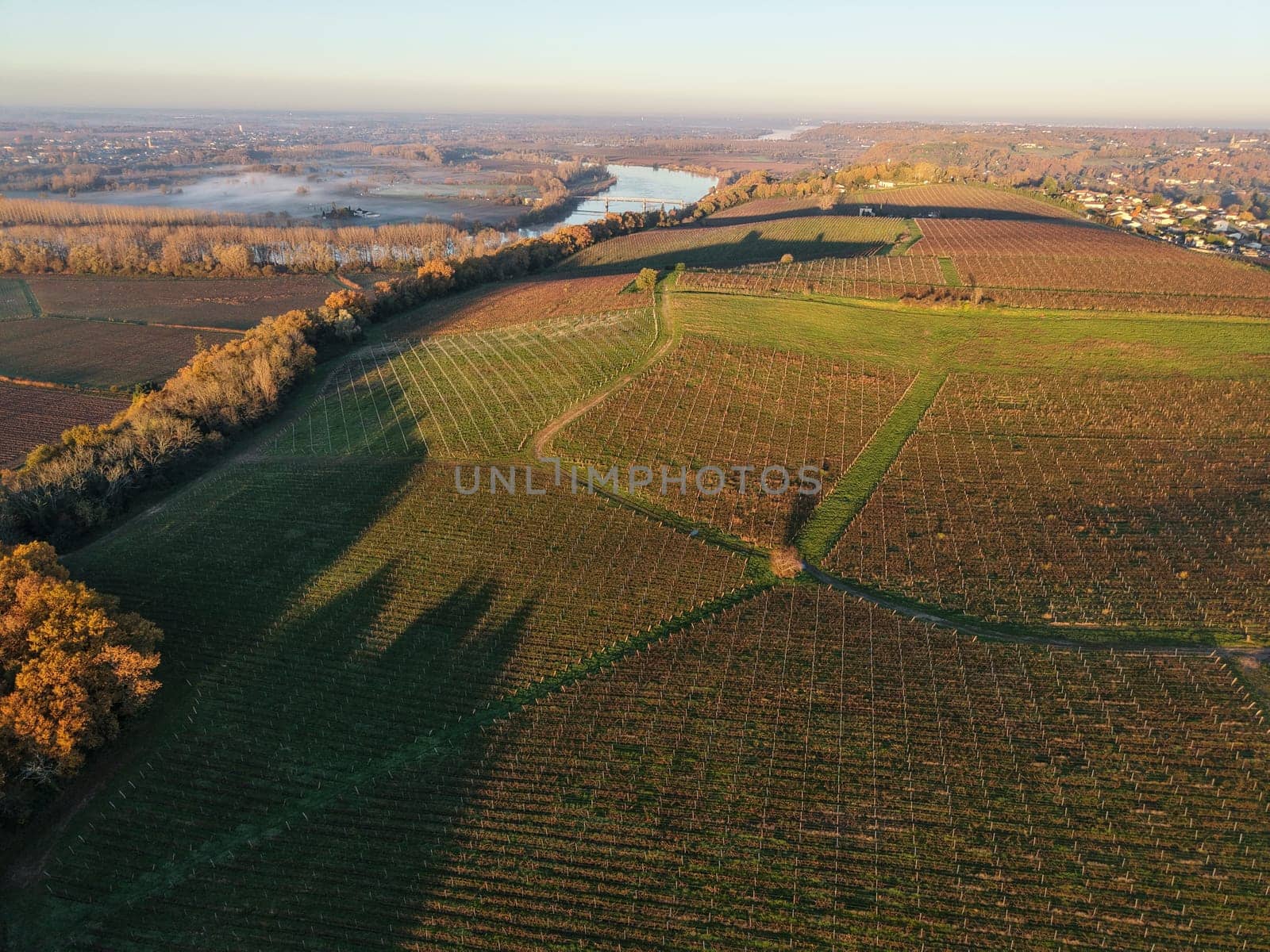 France, Gironde, Haut-Langoiran, Aerial view of the vineyard and wooded areas of Chateau de Langoiran in the Bordeaux vineyards at sunrise