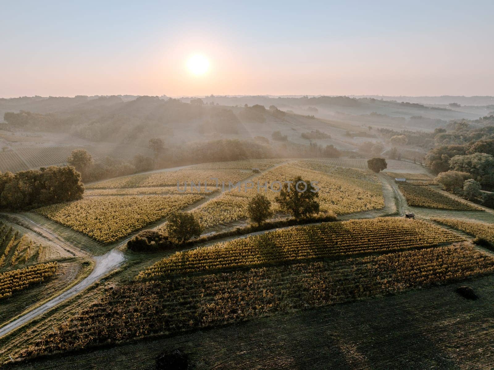 Sunset landscape bordeaux wineyard france, europe Nature. High quality photo