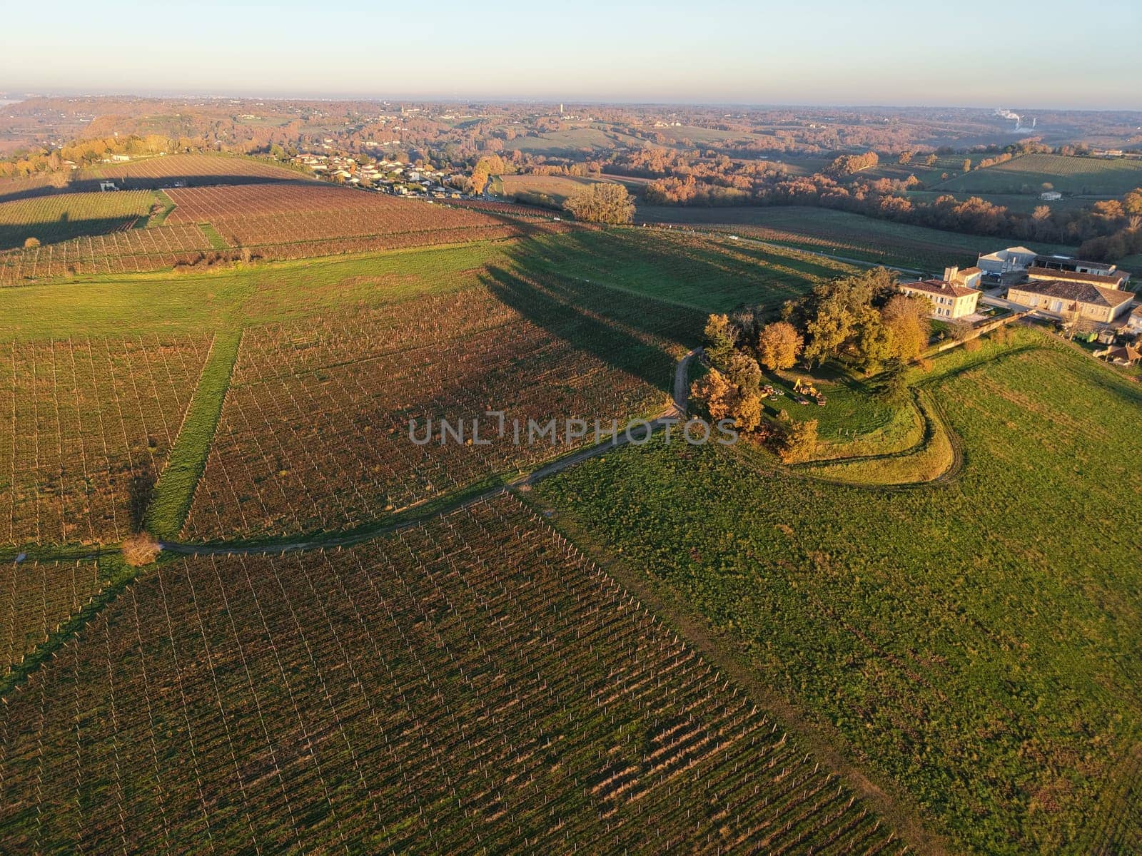France, Gironde, Haut-Langoiran, Aerial view of the vineyard and wooded areas of Chateau de Langoiran in the Bordeaux vineyards at sunrise