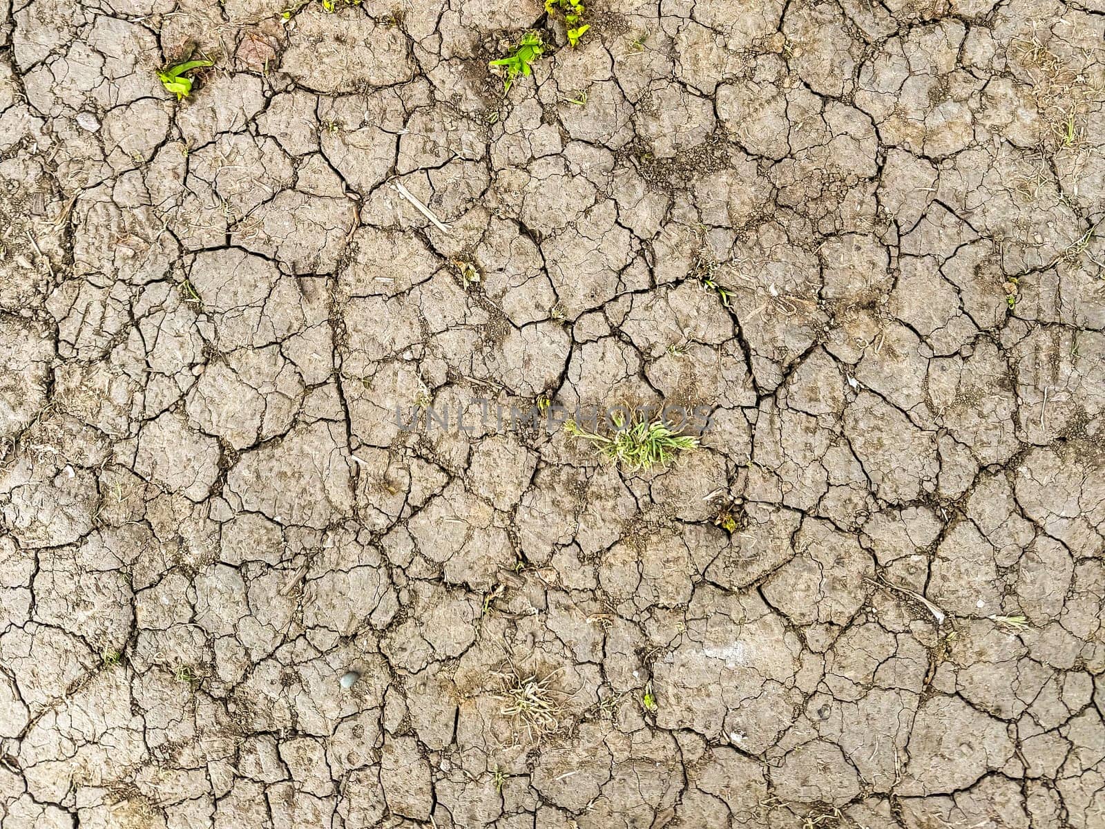 Cracked earth during dry season. Climate change, heatwaves, and environmental impact concept.