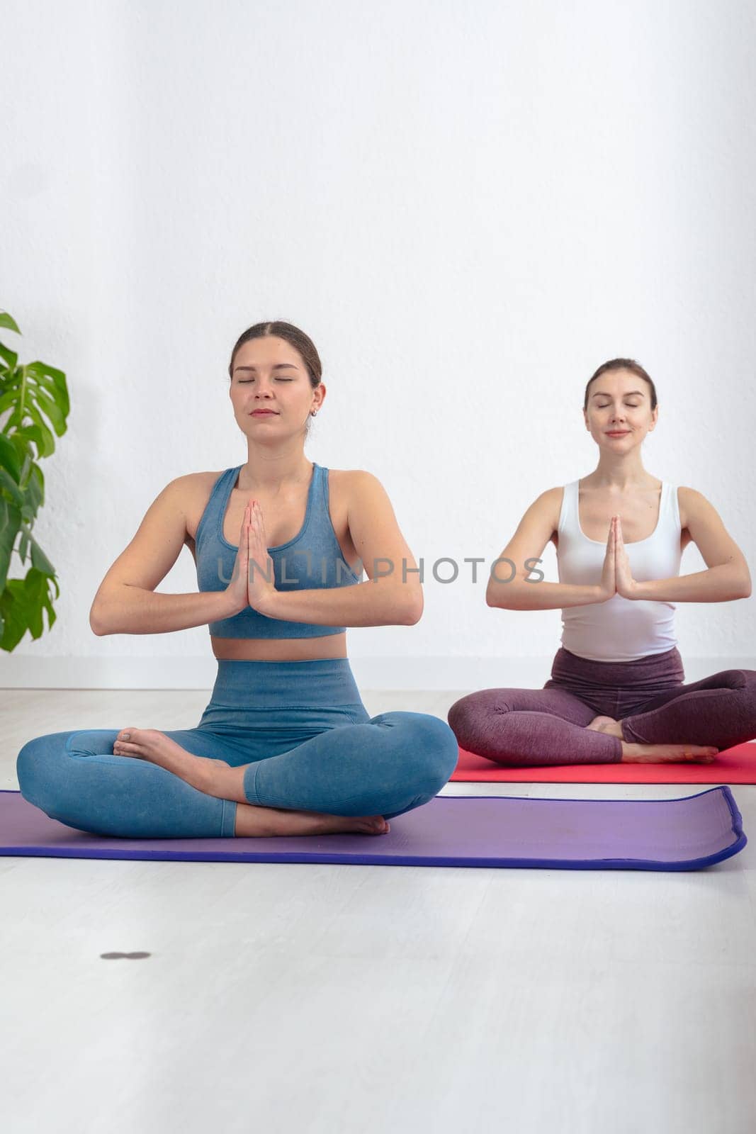 Caucasian women practicing yoga in seated lotus pose with palms together, wearing sportswear on mats in a bright indoor space.Calm expression and focus reflect mindfulness and healthy lifestyle.
