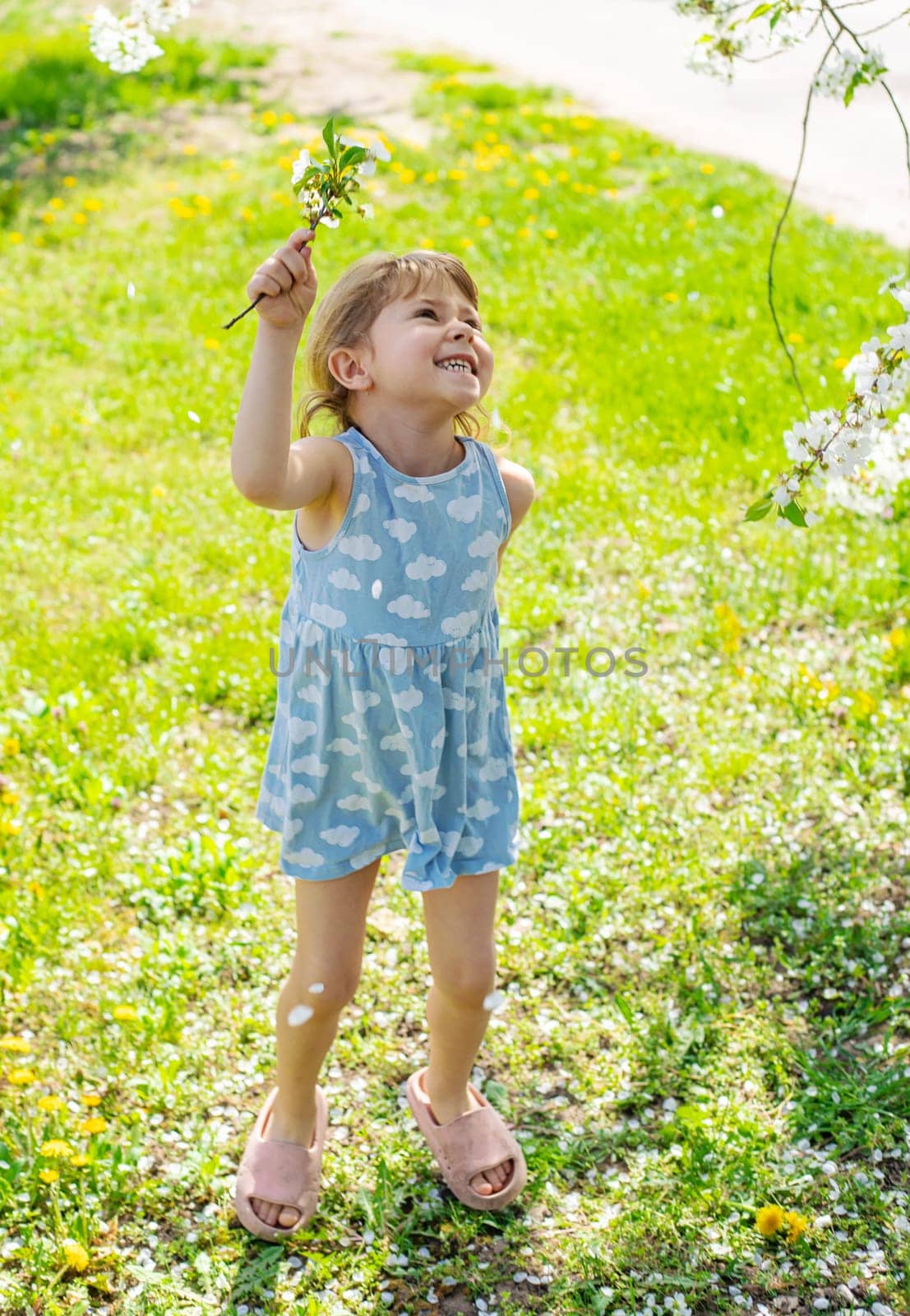 Child in a garden of flowering trees. Selective focus. kid.