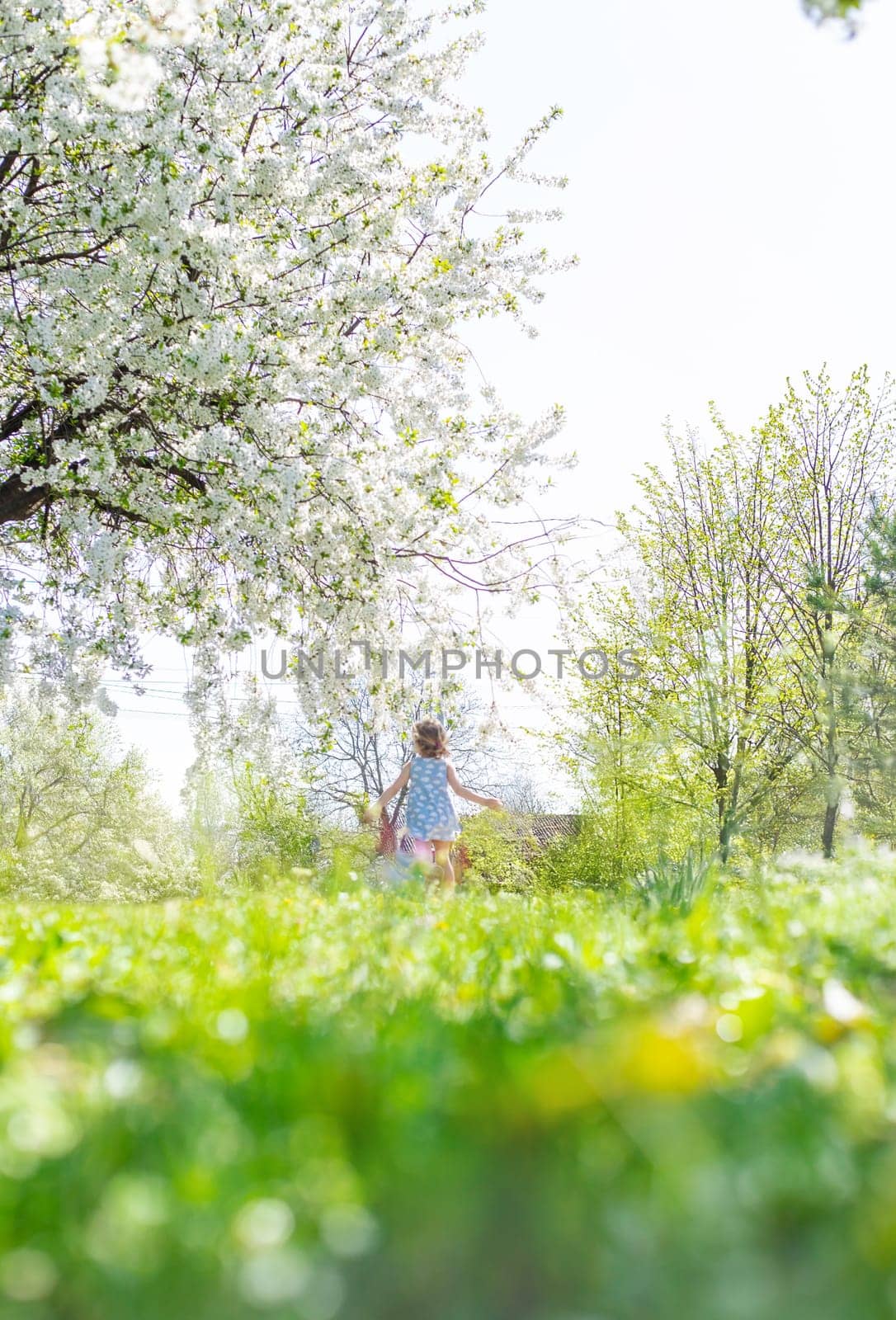 Child in a garden of flowering trees. Selective focus. kid.