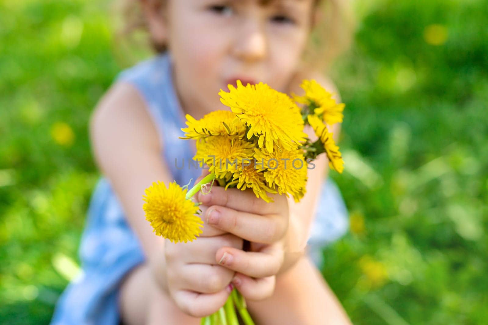 Child in the garden with a bouquet of dandelions. Selective focus. Kid.