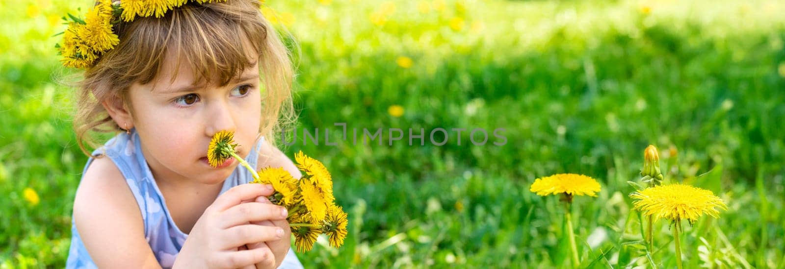 Child in the garden with a bouquet of dandelions. Selective focus. Kid.