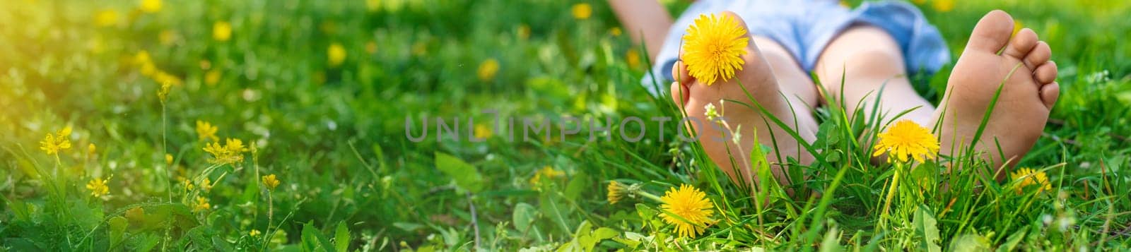 child feet in a garden with dandelions. Selective focus. kid,