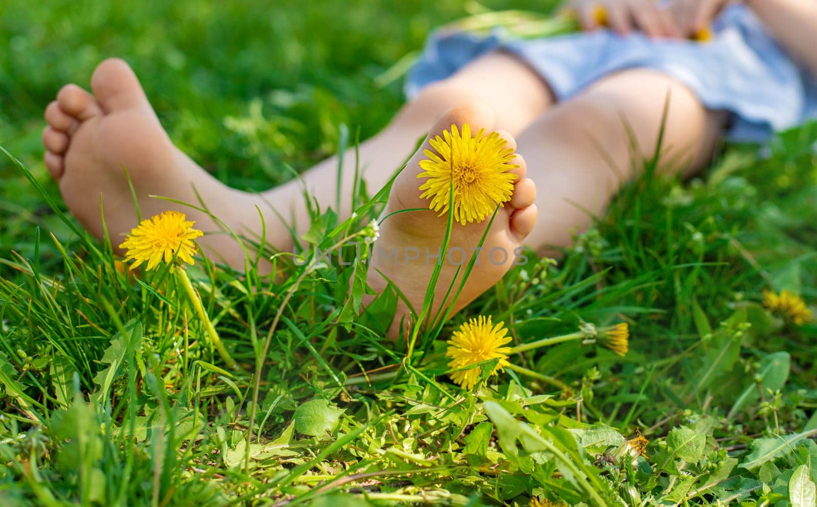 child feet in a garden with dandelions. Selective focus. kid,