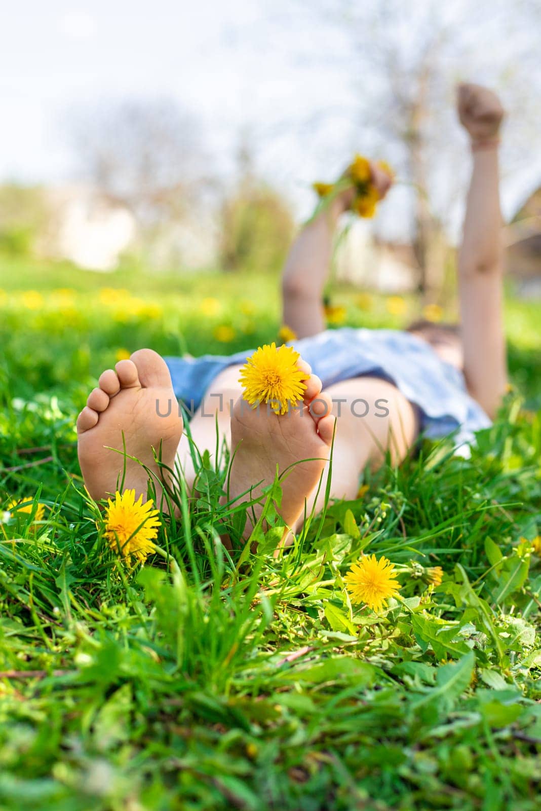 child feet in a garden with dandelions. Selective focus. kid,