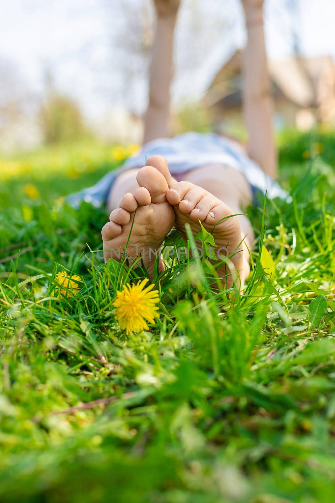 child feet in a garden with dandelions. Selective focus. kid,