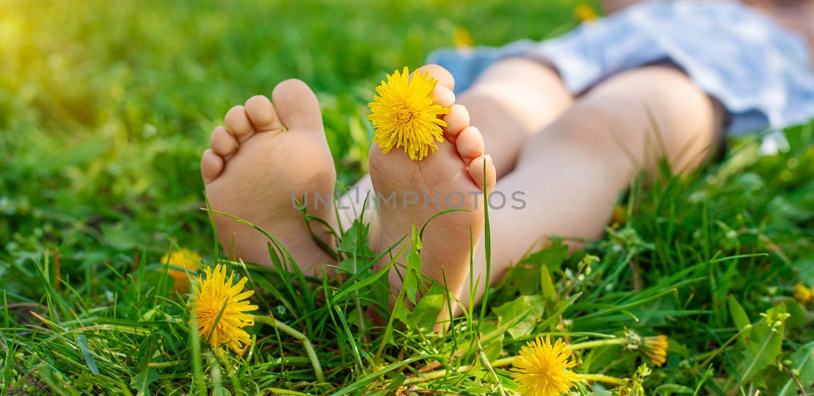 child feet in a garden with dandelions. Selective focus. kid,