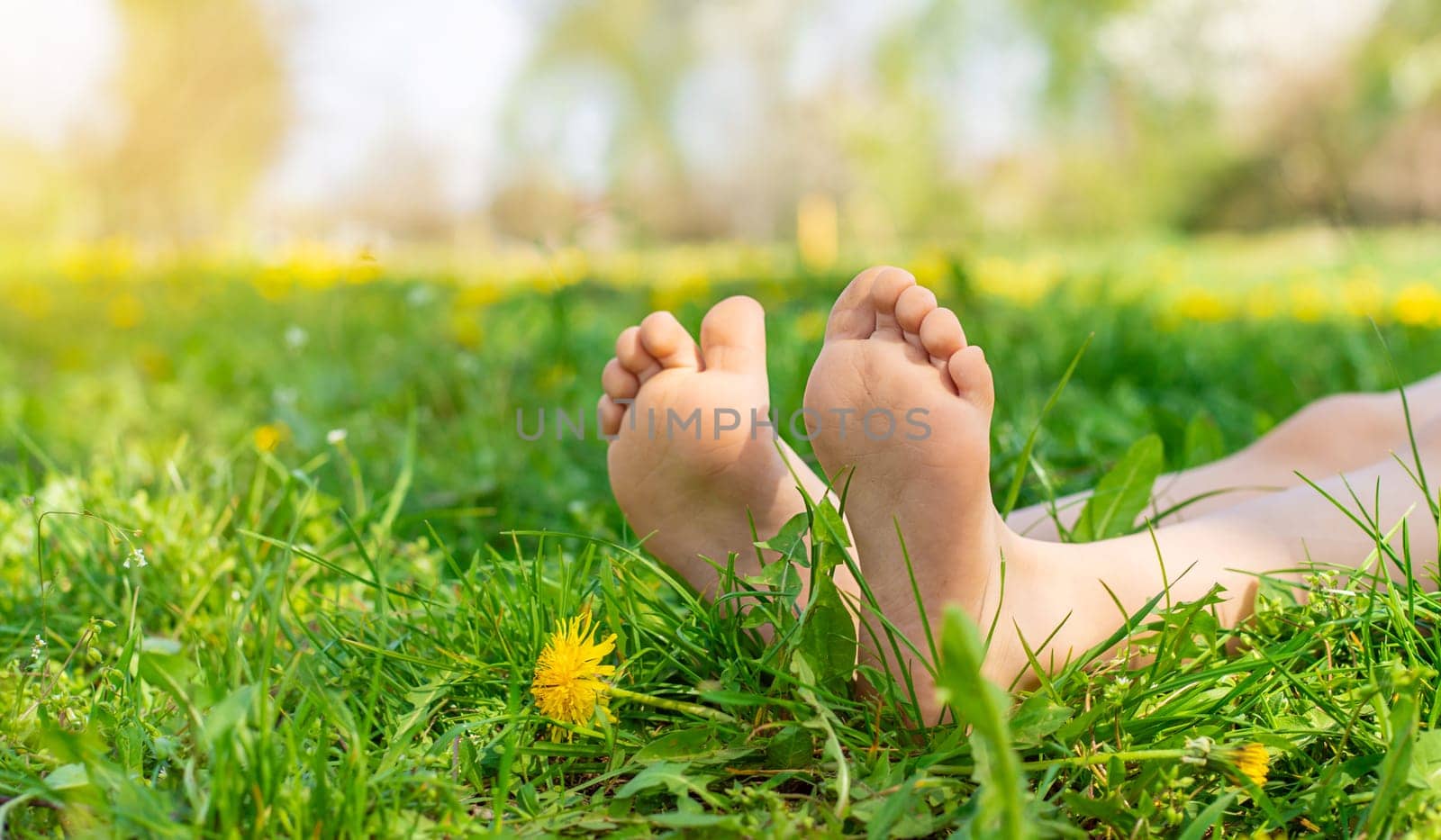child feet in a garden with dandelions. Selective focus. kid,