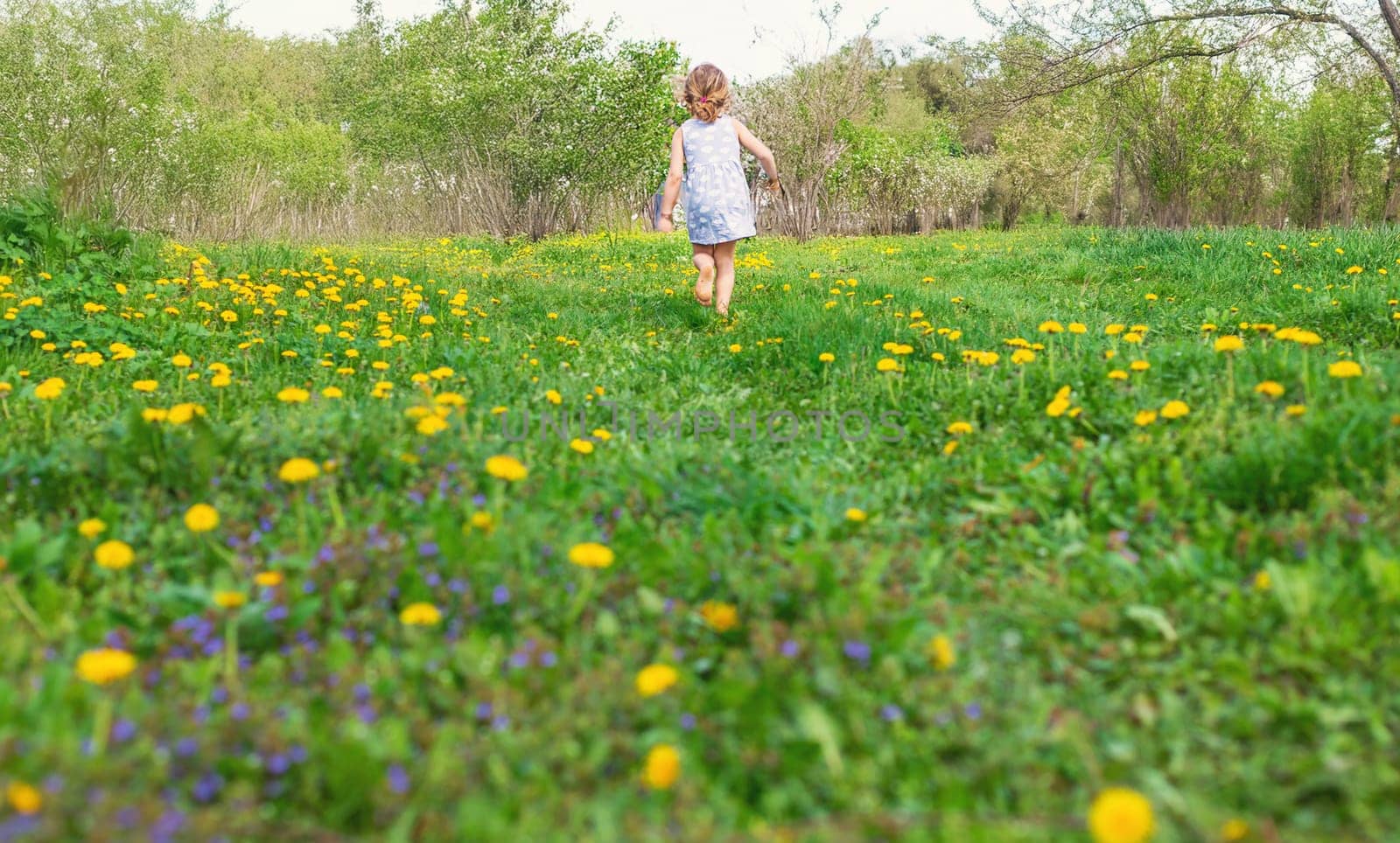 Child in the garden with a bouquet of dandelions. Selective focus. Kid.