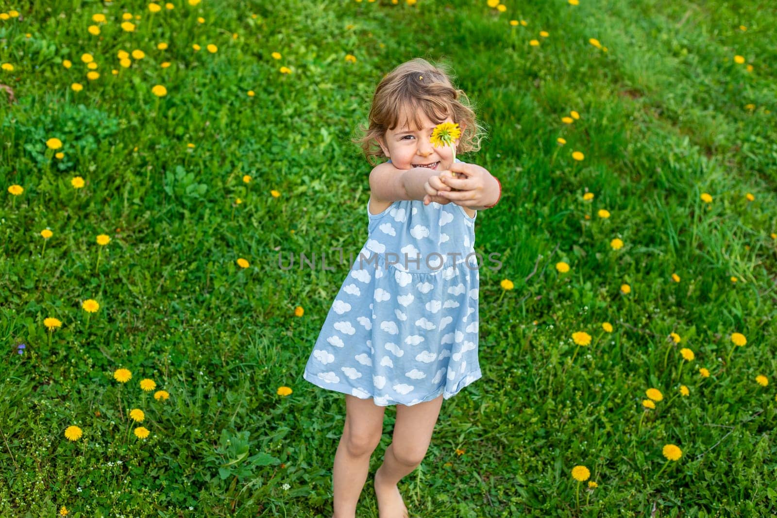 Child in the garden with a bouquet of dandelions. Selective focus. Kid.