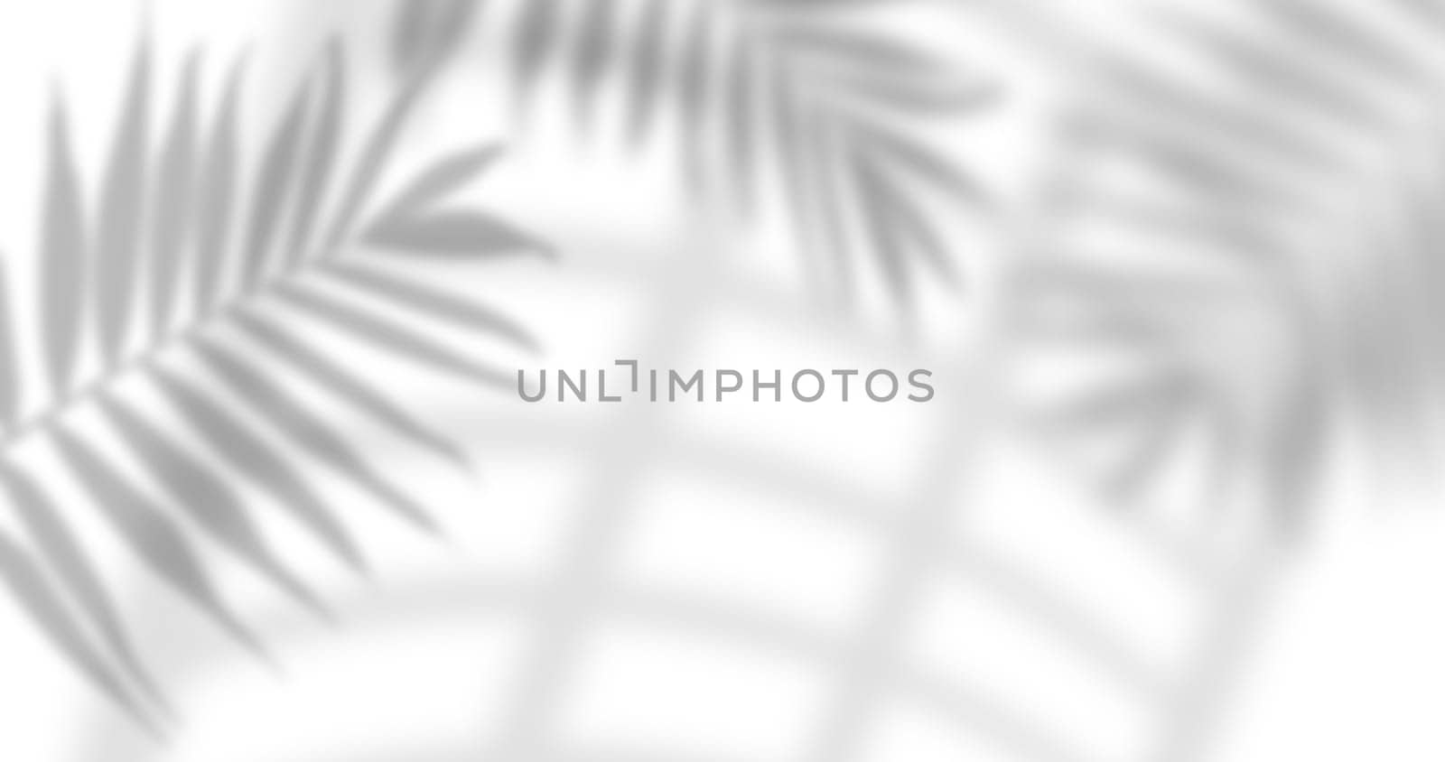 Blurred shadows of palm leaves and window panes are cast on a isolated background, creating a subtle and abstract pattern.