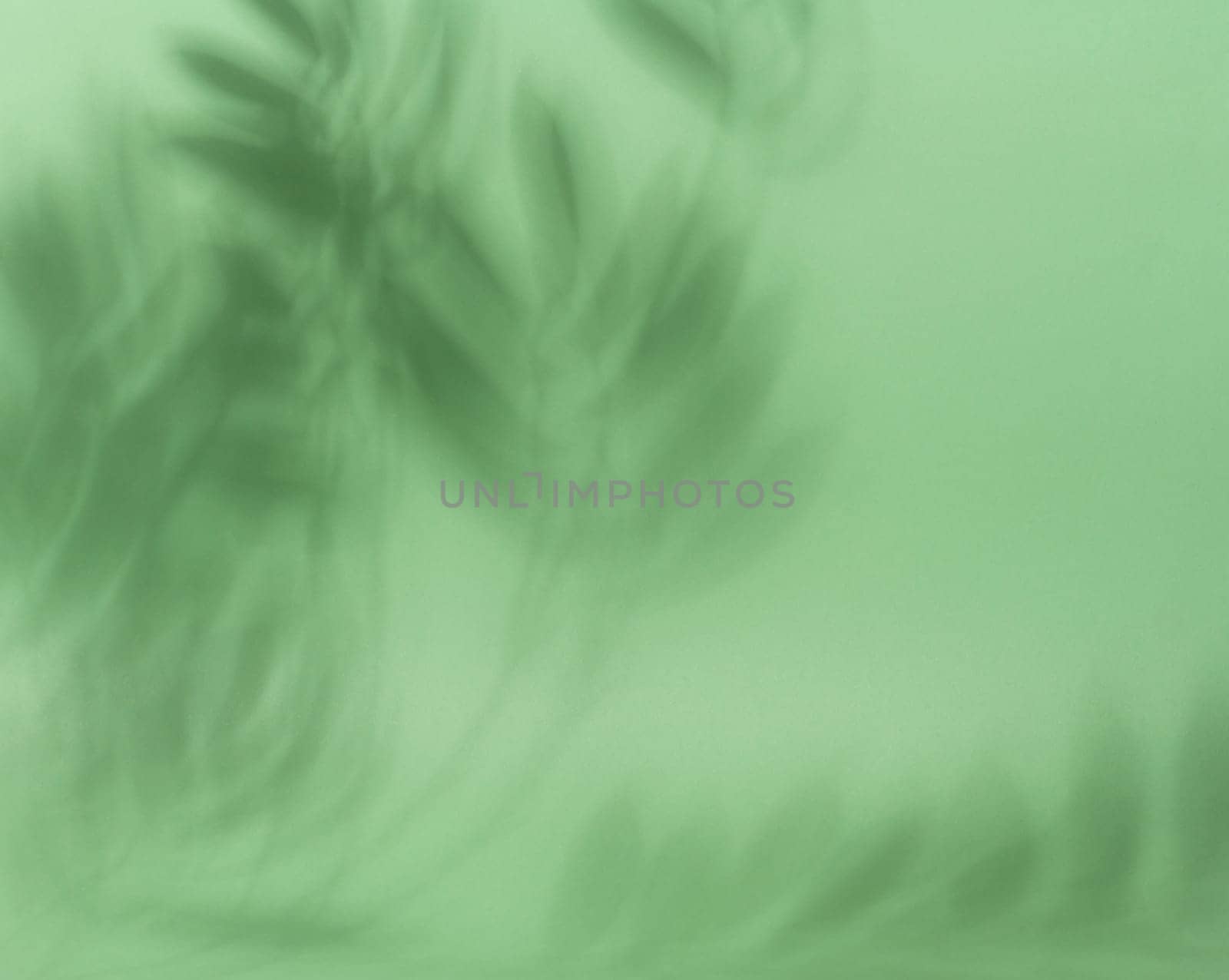 Soft, blurred shadows of palm leaves are cast across a solid light green background, creating a subtle and organic texture with copy space.