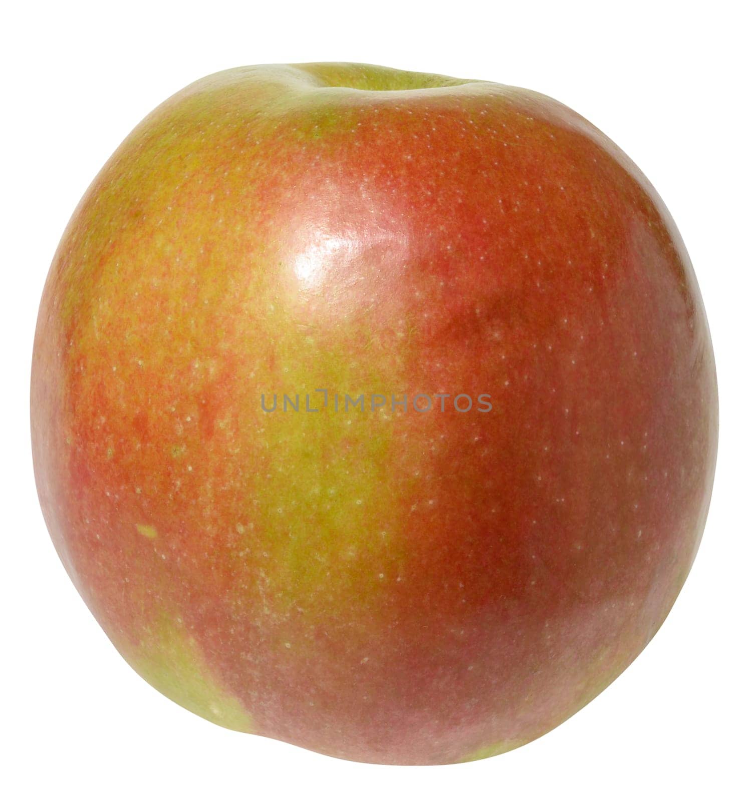 Round, ripe apple with a smooth red and green skin, isolated background