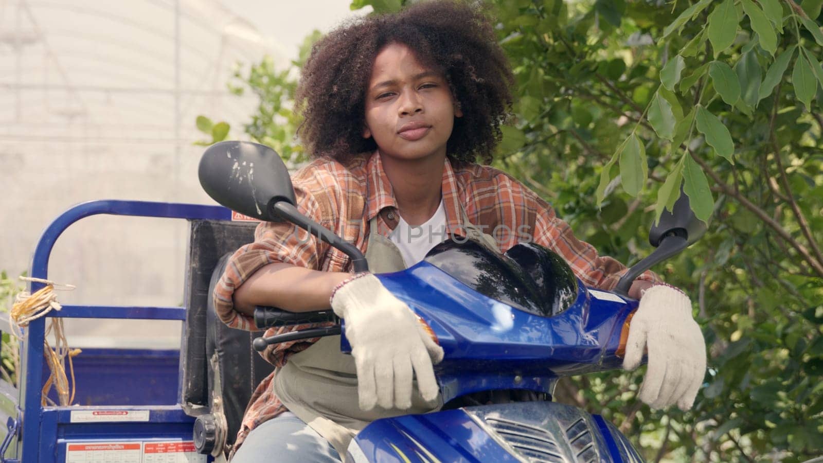 Happy children girl farmer sitting on tricycle in hydroponics farm, Biotechnology kid with Skylab motorcycle at vegetable farm, market transportation
