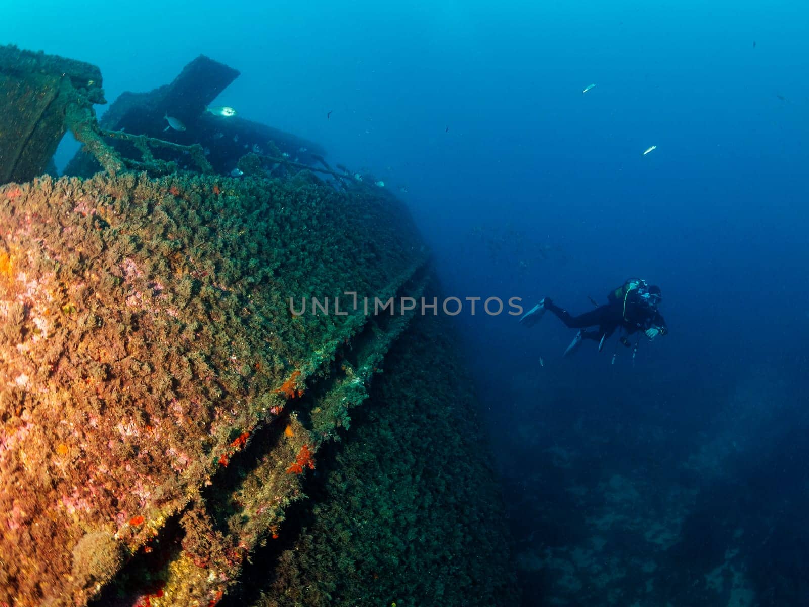 unrecognizable scuba diver diving into the blue ocean near of a wreck, concept of underwater adventure and active leisure lifestyle, copyspace for text