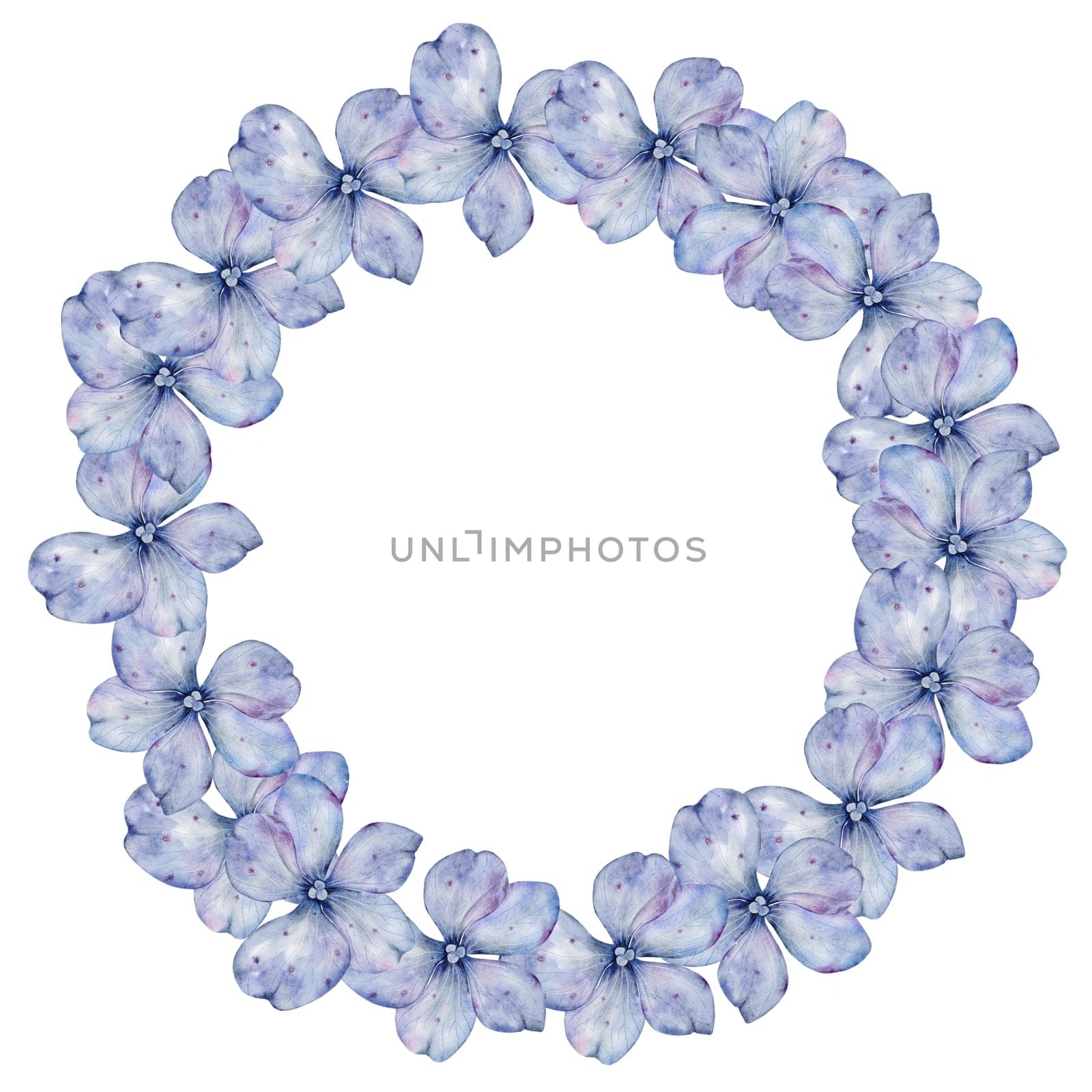 Blue hydrangea flowers watercolor frame. Hand drawn delicate flower on isolated white background. Botanical illustration. Ideal for wedding and birthday cards. High quality illustration