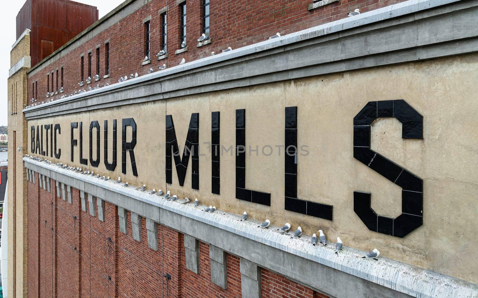 Newcastle, UK - Apr 12, 2025 - Side-view of the BALTIC FLOUR MILLS lettering. The preservation of the original lettering signifies the building's relationship to its history is converted from a former flour mill. Seagulls and their chicks nested on the wall of the Baltic centre of Contemporary art in Newcastle, use it as your Wallpaper, Poster and Space for text, Selective focus.