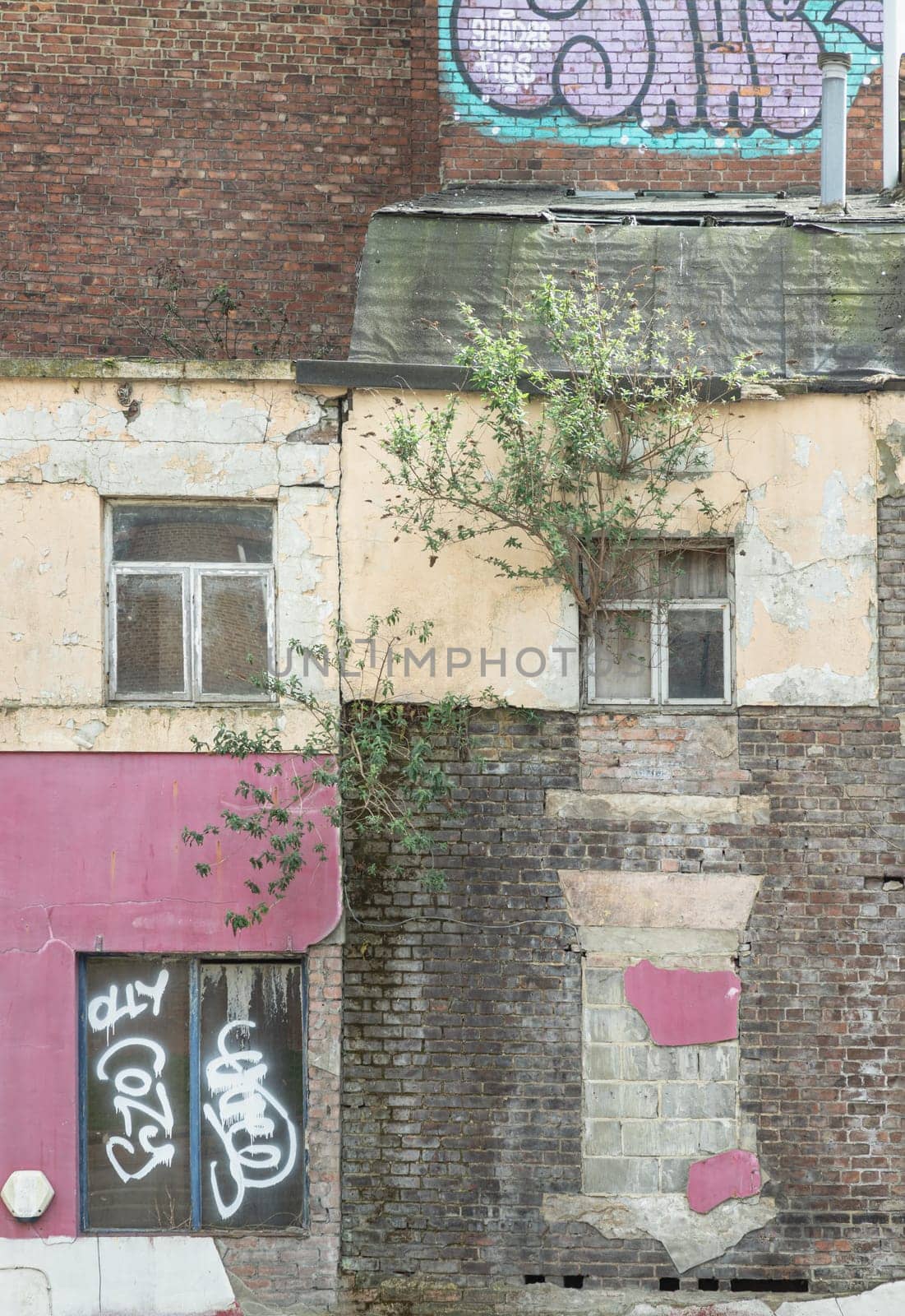 Newcastle, UK - Apr 14, 2025 - Trees growing through on brick wall and wooden window frames with Graffiti in glass and brick wall of old building. After the Kard Bar on Cross Street sadly burnt down in the town centre of Newcastle, use it as your Wallpaper, Poster and Space for text, Selective focus.