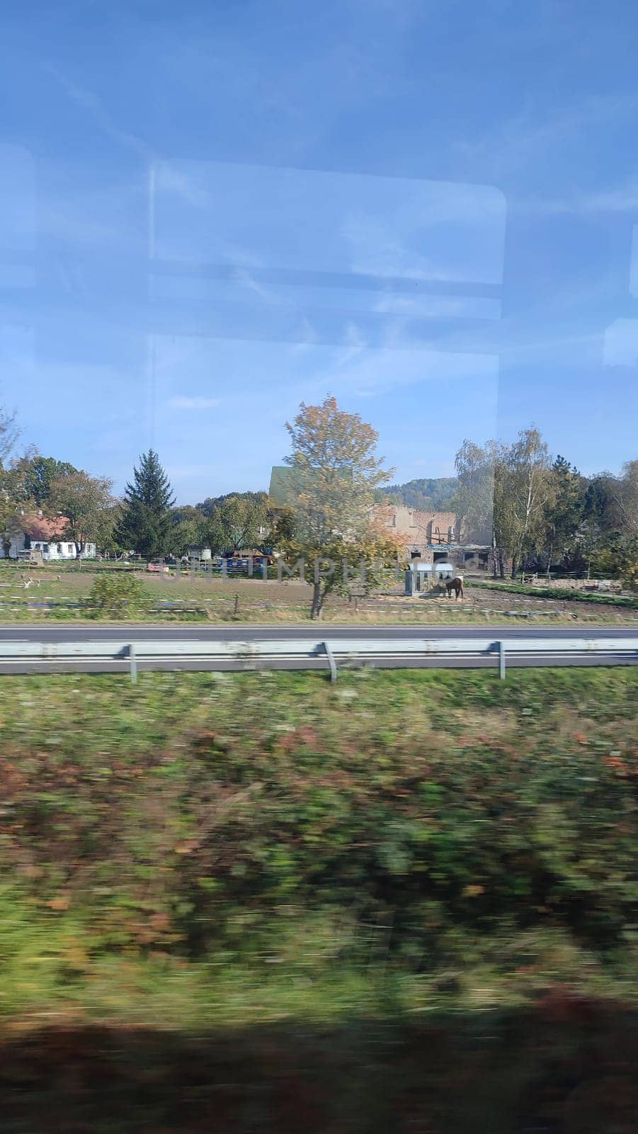 Trees road building windows reflection green nature summer autumn blue sky landscape background road . High quality photo